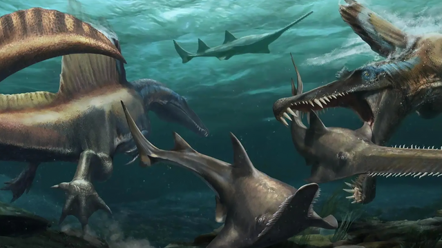 昆虫类有哪些动物，宠物种类有哪些（地球上体型最大的10种动物）