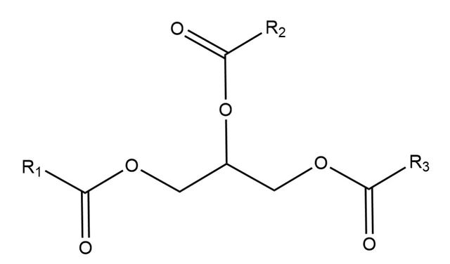 硬脂酸是什么,硬脂酸是什么作用(脂肪,脂肪酸,饱和与不饱和脂肪酸,顺