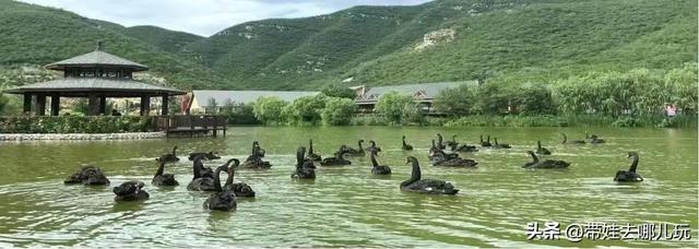 离我最近的酒店，天府国际机场贵宾室（泡温泉、爬山、室内外俩儿童乐园）