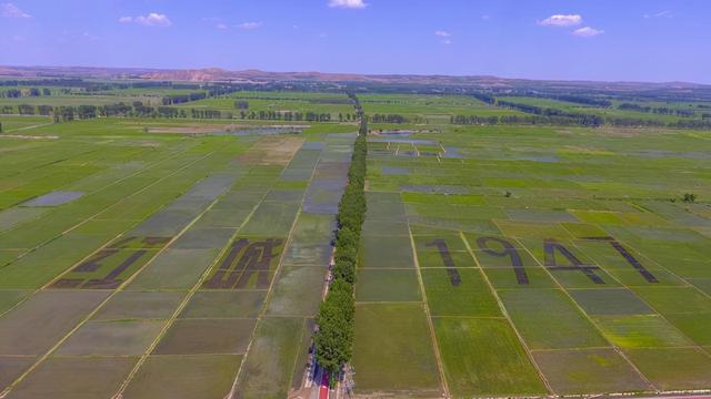 二月二吃猪头肉，各有2层意思，你知道吗（二月二吃猪头肉图片）