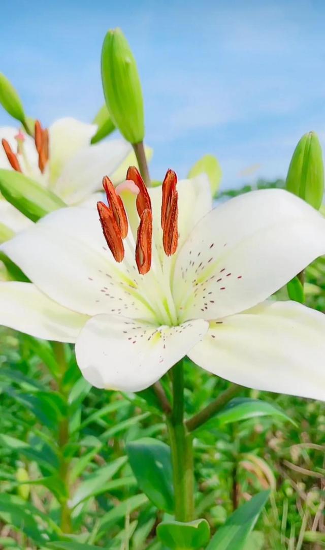 努力的意义是什么，努力的意义是什么图片（女人努力的意义是什么）