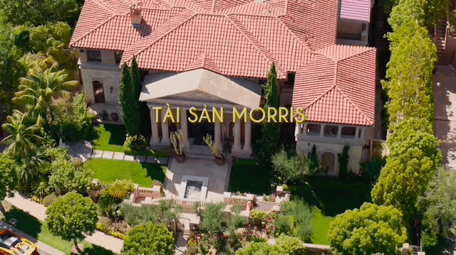 模特dj是什么意思，女性dj是什么意思啊（有钱人世界竟然由这七类人构成）