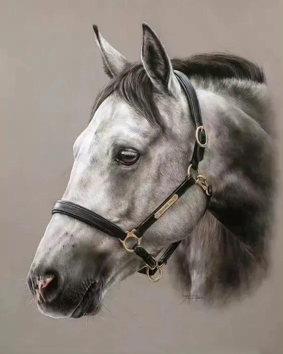 马头简笔画图片大全，马头简笔画（帅气马头绘画欣赏）