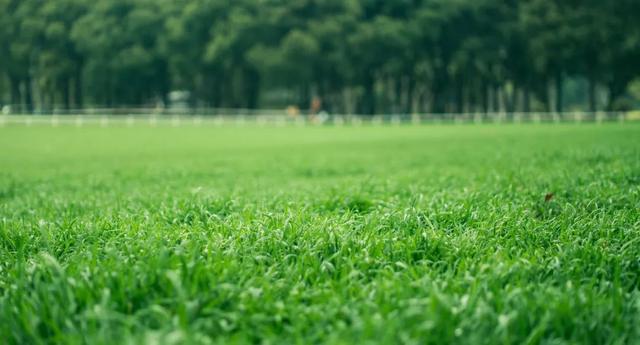 西安好玩的景点，西安好玩的景点推荐临潼骊山（西安踏青好去处整理好了）