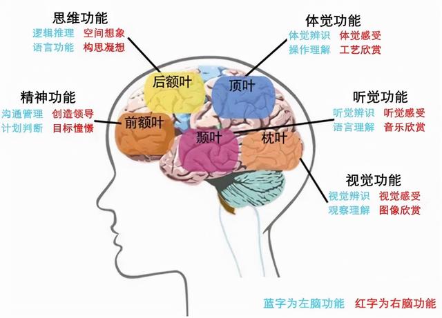 适合6岁儿童学的乐器，儿童乐器教育（器乐学习让孩子更聪明更健康）
