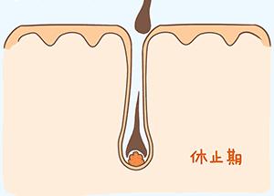 防脱生发洗发水真的有用吗，洗发水防脱有科学依据吗