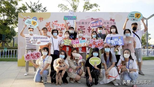 上海宠物领养活动，收养代替购买~在奉浦街道