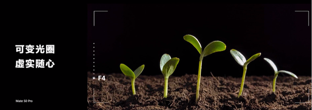 mate40参数配置，mate40参数配置详情（华为发布Mate50系列）