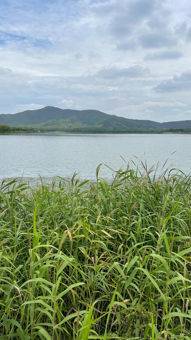 上海到青岛多远，上海到青岛的路程（上海青岛往返1400公里全程无高速沿途城市蜻蜓点水游）