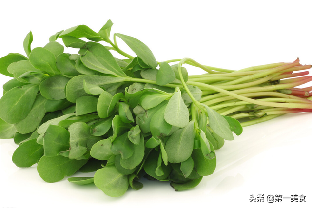 小白菜怎么做好吃，小白菜汤怎么做好吃（这5种常见的野菜）