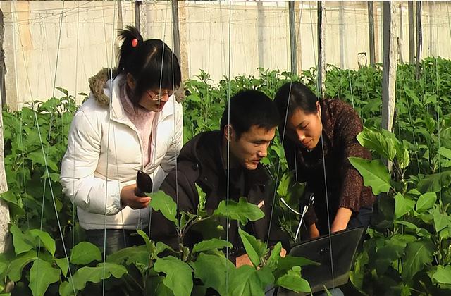 大学生村官面试流程，大学生村官面试问题大全及答案（相信大家都听过大学生村官这个岗位）