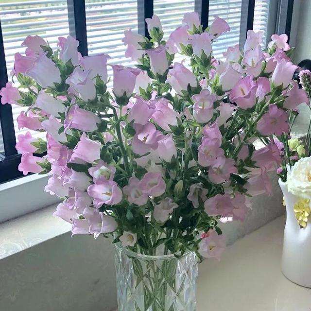 看望病人买什么鲜花，适合送病人的鲜花有哪几种（哪些花代表健康、平安、幸福）