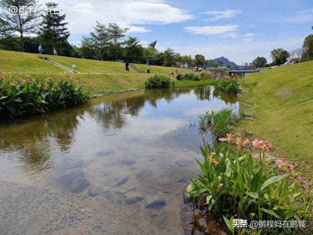 遛娃好去处（47）：深圳光明·欢乐田园——黄金稻田，玩水捞鱼