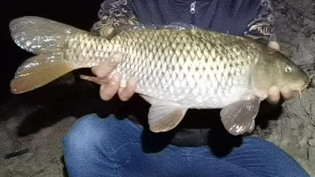 附近哪里可以钓鱼，附近哪里好钓鱼（昆明周边100公里柴石滩水库）