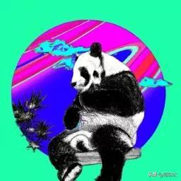 大熊猫的寿命，对于熊猫，你真的了解它吗
