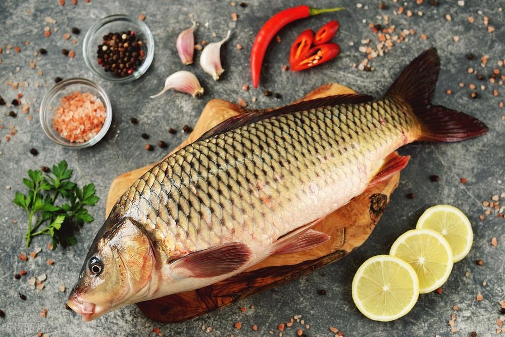 鱼的功效与作用及营养,带鱼的功效与作用及营养(平时常吃的鱼都有什么