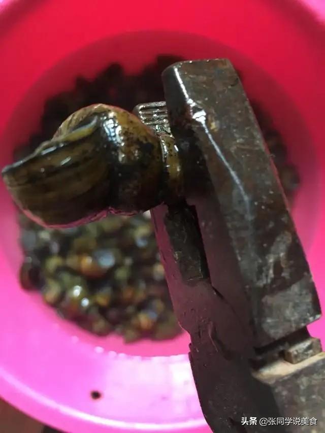 石头螺怎么吃，田螺哪里不能吃图解（我教你处理）