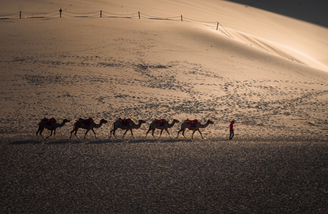 8kraw签约条件，8kraw签约需要准备什么（2022年Haida签约\u0026合作摄影师终选名单）