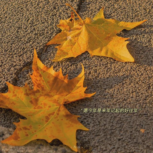 QQ/朋友圈背景图，qq朋友圈背景图怎么一直保存（温暖治愈冬日朋友圈背景图）