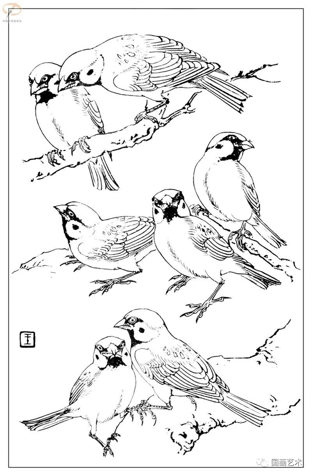 火的简笔画图片，火焰怎么画简笔画图片（画鸟参考——白描麻雀百图）