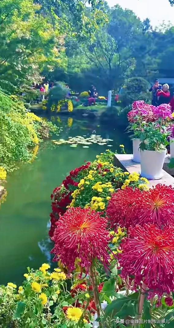 美图，可做壁纸，可以做壁纸的图片 唯美（愿你的生活像花一样灿烂）