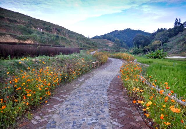 广州景点排行榜前十名，广州旅游景点排名前十（广州十大冷门景点）