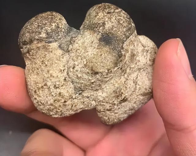 浮石属于哪种岩石，钱塘江闸口有人捡到白色浮石（浮石属于什么岩）