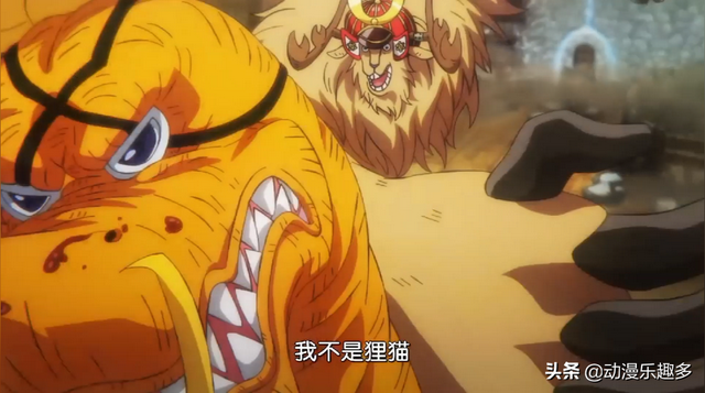 乔巴第几集出场，索隆为什么退出草帽海贼团（海贼王1023集）