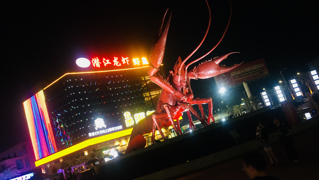 大武汉旅游年卡，武汉旅游攻略之大武汉年卡（《湖北旅游年卡》景点评测大全）