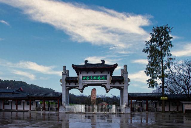 武汉东湖樱花园最全“赏樱攻略”
