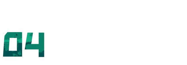 年假是什么意思，什么是补充年假（年底了，假休完了吗）