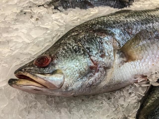 鲈鱼是淡水鱼还是海鱼，鲈鱼是海鱼还是淡水鱼（原来“海鲈”和“淡鲈”区别这么大）