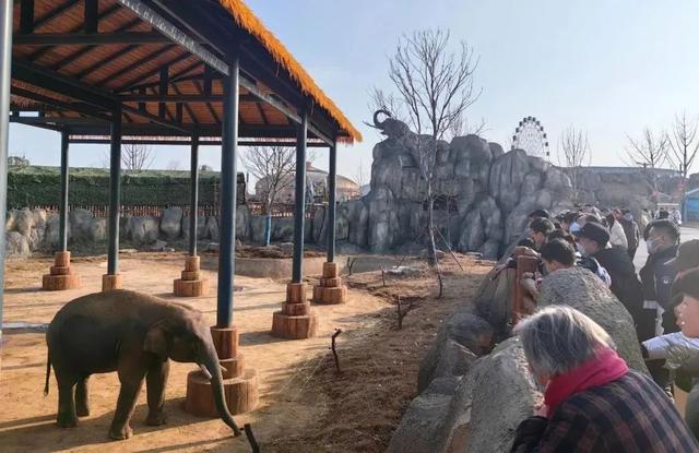 江苏徐州旅游景点，徐州市内的旅游景点（这一份“攻略”快收藏起来）