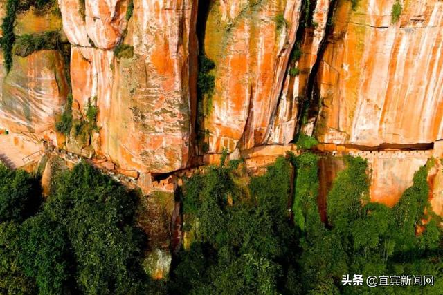 竹海生态旅游景区介绍，到绿水青山的蜀南竹海“走一遭”吧