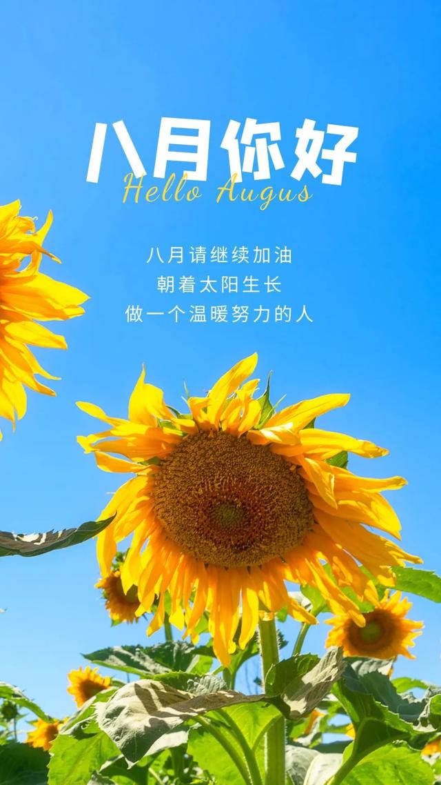 八一建军节发朋友圈，建军节文案（正能量经典语录）