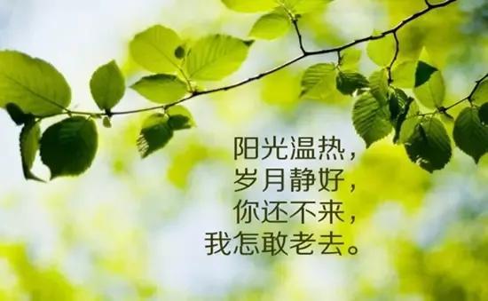 享受一个人的心情说说，享受一个人的生活说说（微信悠闲简单的心情说说）