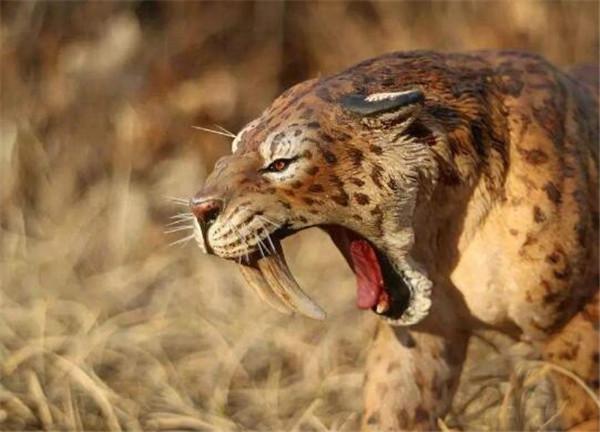 地球上最凶猛的动物，世界上最凶猛的动物的排名是什么（一个手持铁棍的男子）