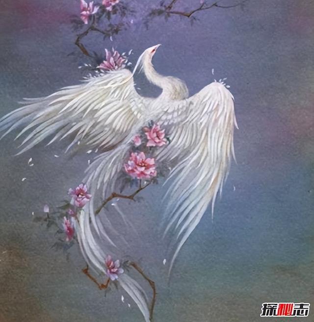 西游记里的红色鸟妖怪，上下五千年妖怪列表大全——