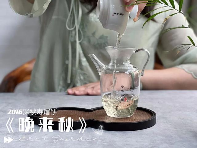 白茶和老白茶的区别是什么，老白茶和白茶一样吗（再也不怕受骗上当了）