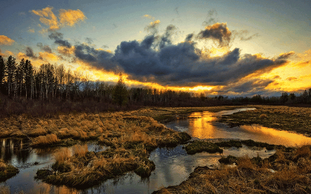 ps插件怎么安装，ps磨皮插件怎么安装（2022款PS插件一键安装）