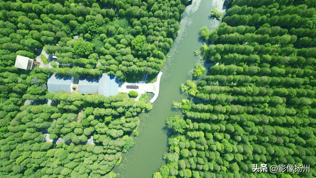 扬州一日游，扬州一日游攻略自助游（一个周末去趟高邮）