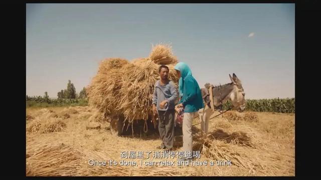 什么的骏马，什么的骏马四字词语（冷酷的冷漠）