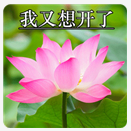 微信头像｜精选朋友圈优质头像，精选优质微信头像大全（头像 ， 朋友圈里最靓的头像）