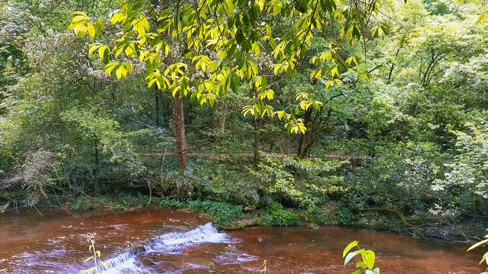 怎样游览邛崃天台山，去邛崃天台山（2022夏日自驾旅行体验）