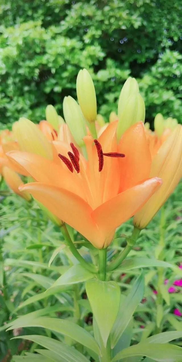 努力的意义是什么，努力的意义是什么图片（女人努力的意义是什么）