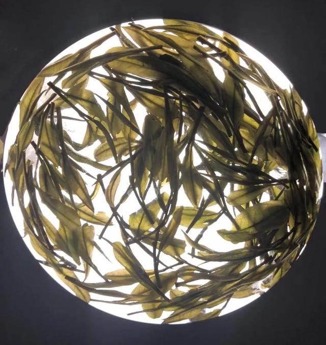 白茶的功效作用，老白茶很好，这样喝更养生