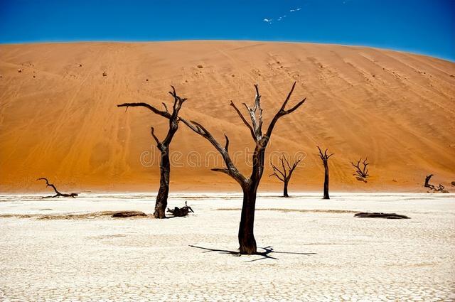 psycho什么意思，paro和au分别是什么意思（轻松记单词58）