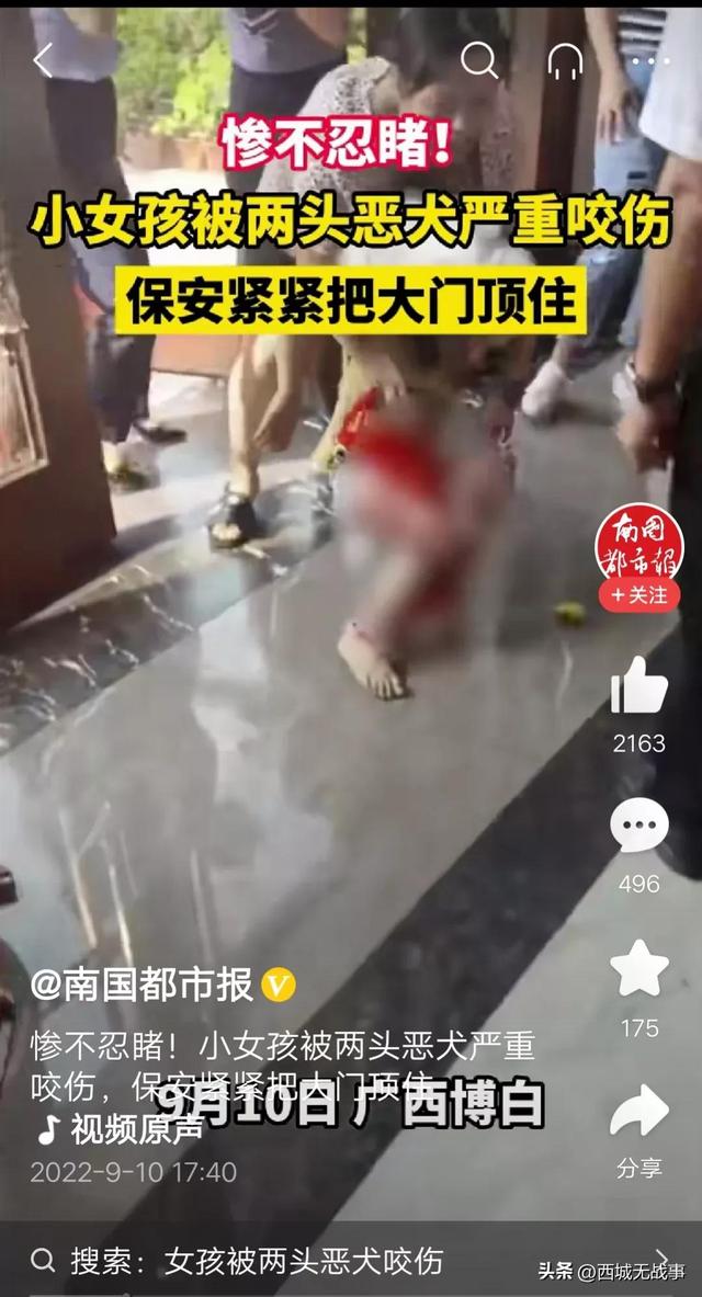 恶犬咬死小女孩，极端动保人士的态度让人后怕