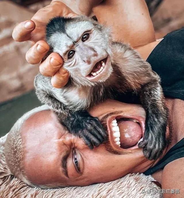 帅气的图片，帅气的图片 冷酷 霸气（全球百位最帅面孔）