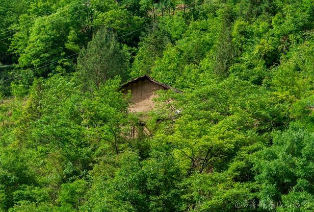 巫溪旅游攻略自由行，打卡重庆第一深谷却被这条悬崖天路惊艳